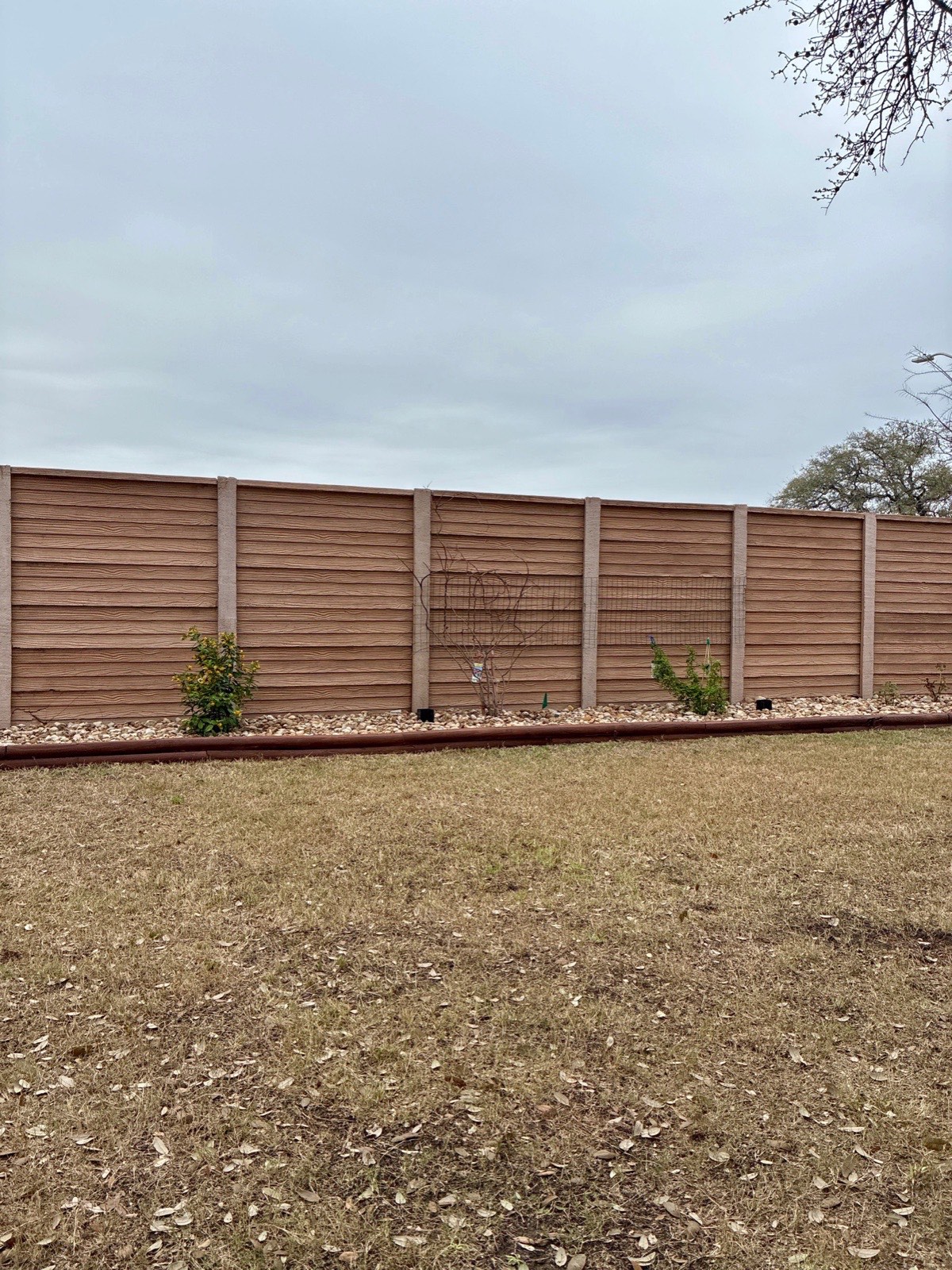 Bare fence line with an empty wire trellis before the arbor build